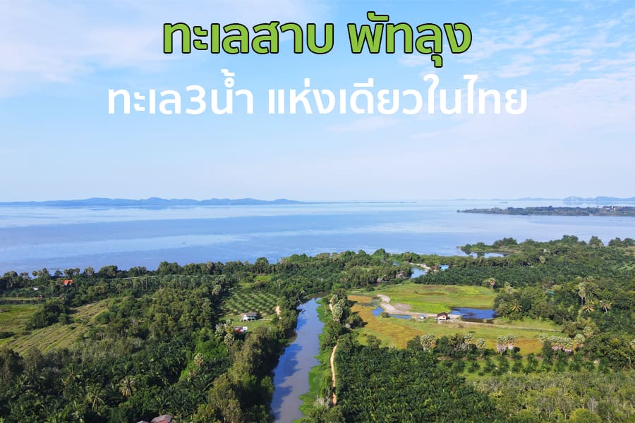 ภาพมุมสูงทะเลสาบสงขลา-พัทลุง ทะเลสามน้ำ